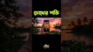 মানুষের চোখ Camera থেকে বেশি powerful #HumanEye #ScienceFacts #TechVsHuman #Shorts