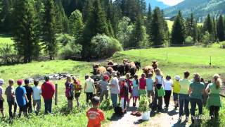 Volksschule Auf Dem Bauernhof