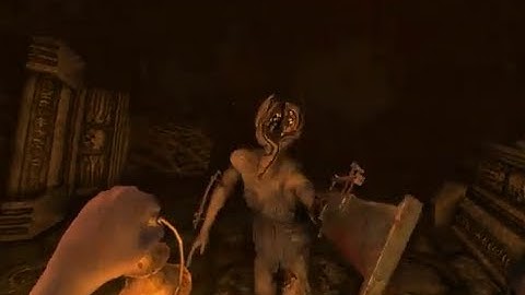 Amnesia - BRUTE CHASING