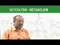 Glycolysis  metabolism  dr najeeb