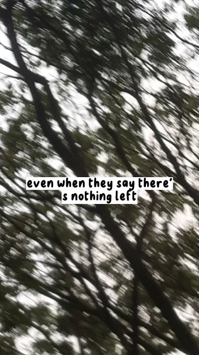 Don't give up on me - Andy Grammer (short lyrics) story lyric