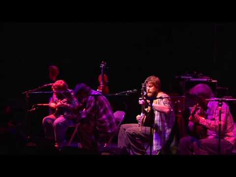 trampled by turtles - nobody else