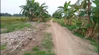 Seruling Merdu Sunda Mengantarkan Petani Ke Sawah