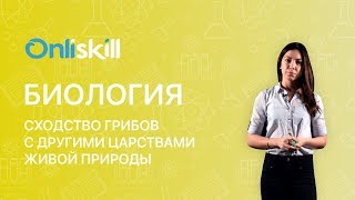 Биология 6 класс: Сходство грибов с другими царствами живой природы Биология 6 класс: Сходство грибов с другими царствами живой природы