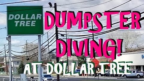 Dumpster Diving ~ What Has Dollar Tree Thrown Away Today?