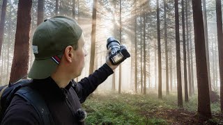 Boxende Hasen & magische Waldfotografie