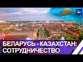 МТЗ наращивает локализацию производства в Казахстане. Панорама
