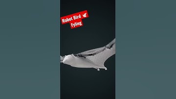 Robot bird 🕊️ flying #shortsvideo #shortfeeds #shortsyoutube #shorts #robot