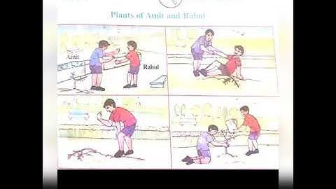 GSEB CLASS 5 || ENVIRONMENT || AROUND US  || CHAPTER 1  || PART 3