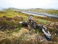 Banding white-tailed eagle chick season 2023.