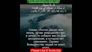 Коран Сура Аль-Джасия |45:26 |Чтение Корана с русским переводом|Quran Translation Surah Al Jathiyah