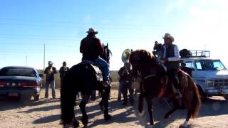 Dancing Horses Rocky Point Puerto Penasco Mexico
