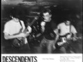 DESCENDENTS - bikeage