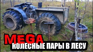 Найдено заброшенное урочище в тайге, мега находки с металлоискателем Minelab VANQUISH 540 Pro-Pack