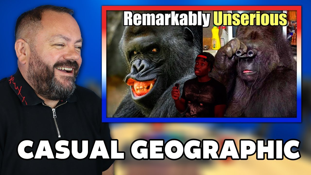 Нелепо-случайная природа реакции гориллы | РЕАКЦИЯ ОФИСНЫХ ПАРНЕЙ!!