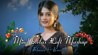 🥰 Duniyaa (Lofi Slowed Reverb) | Hindi Song | Bollywood Chill Vibes