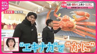 【福井駅も“進化中”】北陸新幹線で食べに行ける名産・越前がに＆希少・ミズガニ