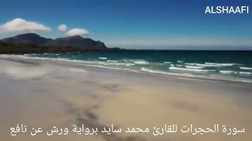 محمد سايد - سورة الحجرات |049|MOHAMED SAYED - SURAT AL HUJURAT