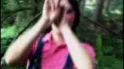 CSS - Cansei de Ser Sexy - Alala