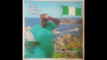 Princess Bumy Olajubu - Save Nigeria Today