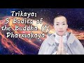 Trikaya 3 bodies of the buddha 1 dharmakaya