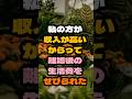 私の方が収入が高いからと離婚後の生活費をせびられました