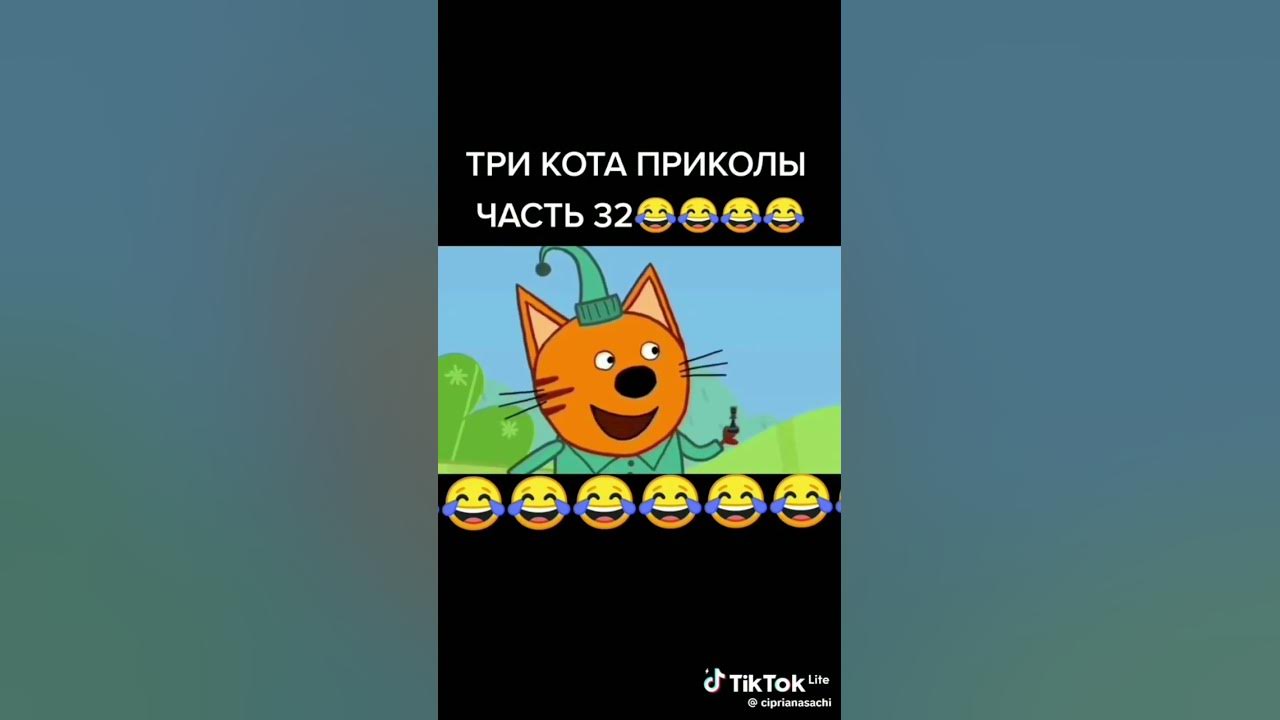 Видео смешные мемы 3 кота Три кота приколы с матом