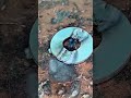 Tig Ring Tucking process #tigwelding #diy #metalwork #fypシ #reels #tigwelding #welder #welding #fypシ