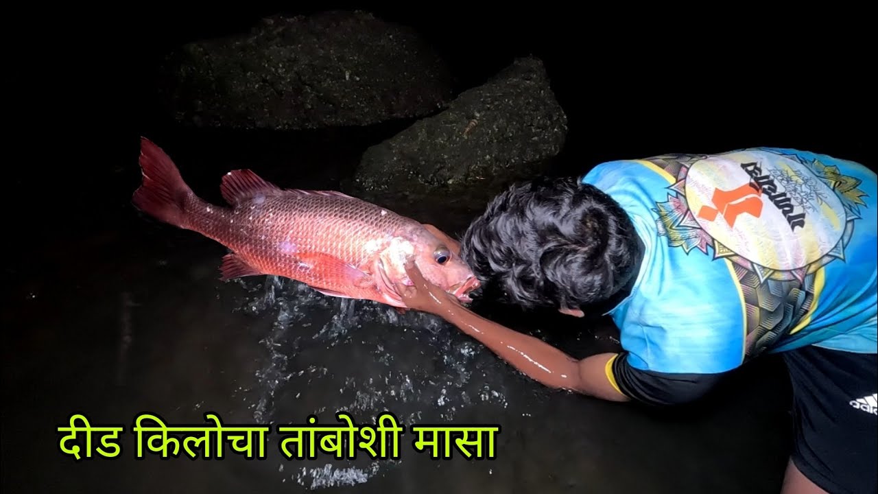 समुद्रावरती केली मासेमारी , पकडला मोठा मासा |  traditional fishing in kokan @TejaGurav