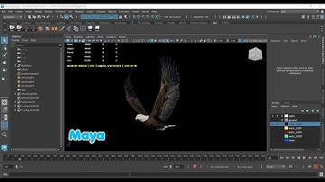 Realistic Animated Bald Eagle