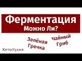 ПРАВДА О Ферментации | Зелёная Гречка | Чайный Гриб - KOMBUCHA