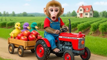 Monkey Na Na Drives Tractor to Rescue the Duckling During a Storm 🐥🌪️🚜 A Surprising Farm Adventure!