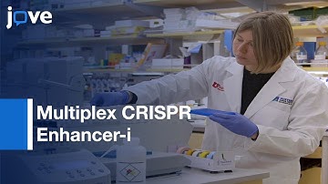 Multiplex CRISPR Enhancer-i for Dissection of Enhancer Function | Protocol Preview