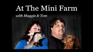 Ep. 2 At The Mini Farm - Maremma Sheepdogs with Allen Mesick by Pramada Koradox 243 views 3 years ago 53 minutes