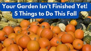 Your Garden Isn't Finished Yet! 5 Things to Do This Fall