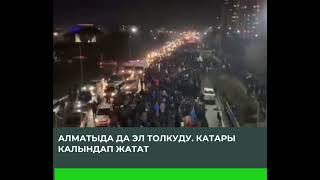 ЧУКУЛ КАБАР! Алматыда да эл толкуду. Катары калындап кетти