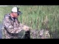 How to Reintroduce Your Duck Dog How to Reintroduce Your Duck Dog