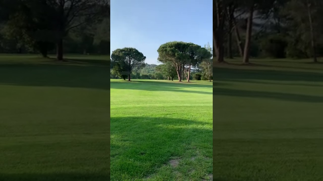 preview_player