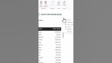 Power BI - add search to slicer #powerbi #powerbitips