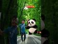 The Creative panda Mascot Takes Over the Football Field