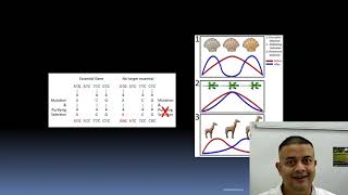 Neutral Evolution, Selection and Drift