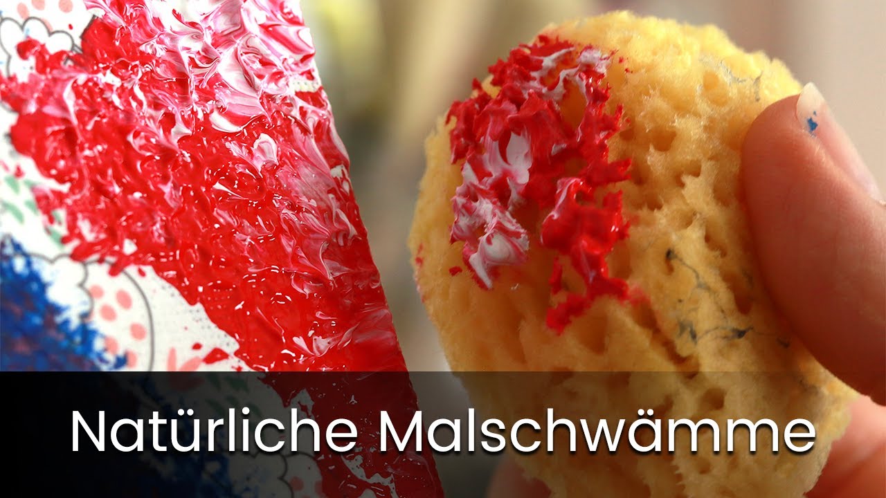 Guduling 12 Stück Malschwämme - Rund Schwämmchen Für Kunst & Basteln