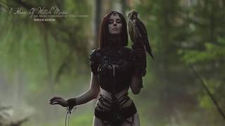 1 Hour of Witch Fantasy Music   Dark, Light, Magic