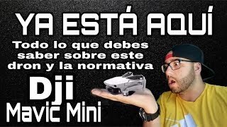 DJI MAVIC MINI / TODO LO QUE DEBES SABER / EL DRON Y LA NORMATIVA -250gm