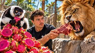 Feeding the CRAZIEST Animals at the Zoo