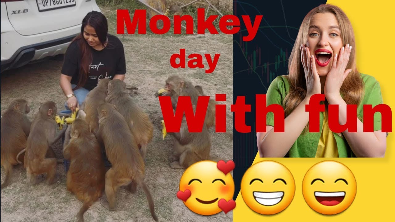 My day with Monkey🐒🍌 || Manvi Tiwari Madamjiknp #minivlog #vlog #youtubevlog #vlogsvideo #monkey 