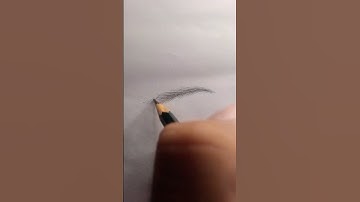 draw eyebrow tutorial #drawing #tutorial #eyebrows #drawingtutorial #art #draw #sketch #shorts