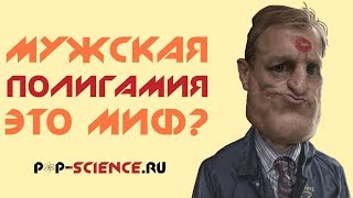 Супружеские измены: мифы о мужской полигамии #измены #полигамия #любовь #отношения #развод