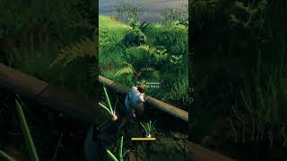 #valheim #tips #gaming Never run out of red mushrooms