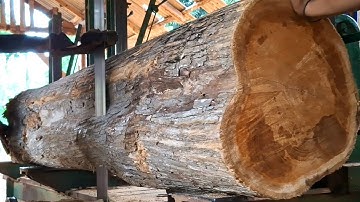 Ancient teak wood process with very beautiful and expensive texture in sawmill